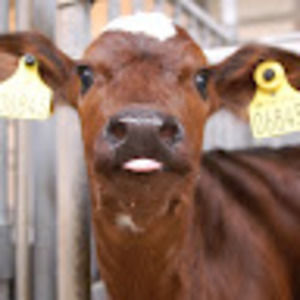 Meet your Posher, Katy